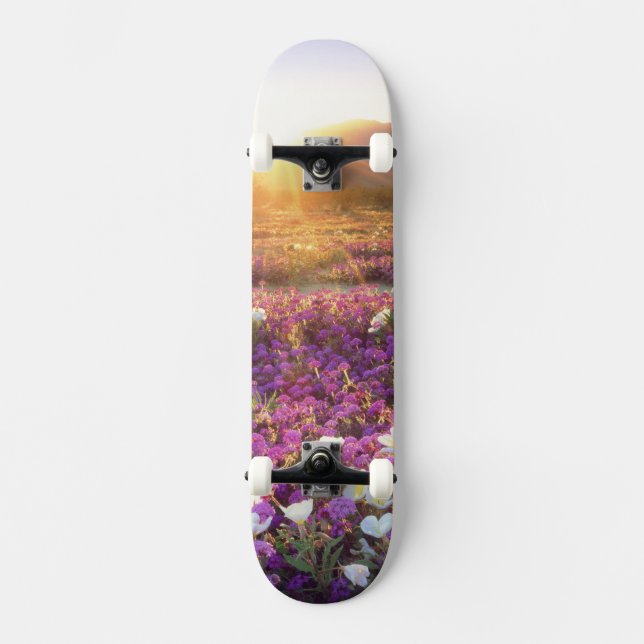 Skate EUA, Califórnia, Parque Estadual do Deserto de Anz (Frente)