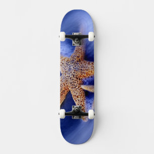 Skate EUA, Carolina do Sul, Ilha de Hilton Head. Dois