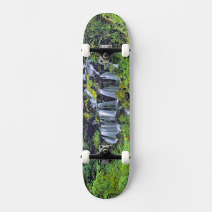 Skate EUA, Estado de Washington, Mt Adams Wilderness. Tw