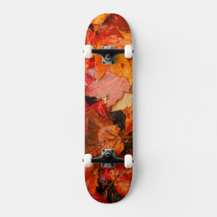 Skate EUA, Maine. Folhas de bordo de outono