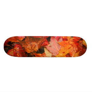 Skate EUA, Maine. Folhas do mapa do outono