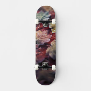 Skate EUA, Noroeste Pacífico. Folhas de bordo japonês