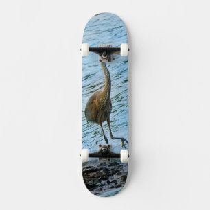 Skate Excelente Blue Heron