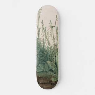 Skate Excelente Peça de Turf (por Albrecht Dürer)