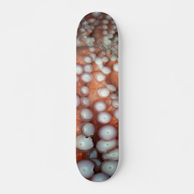 Skate Fechar polvo (Frente)