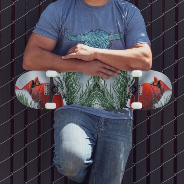 Skate Férias de Natal do Pássaro Vermelho da Neve Invern (Ao ar livre 3)