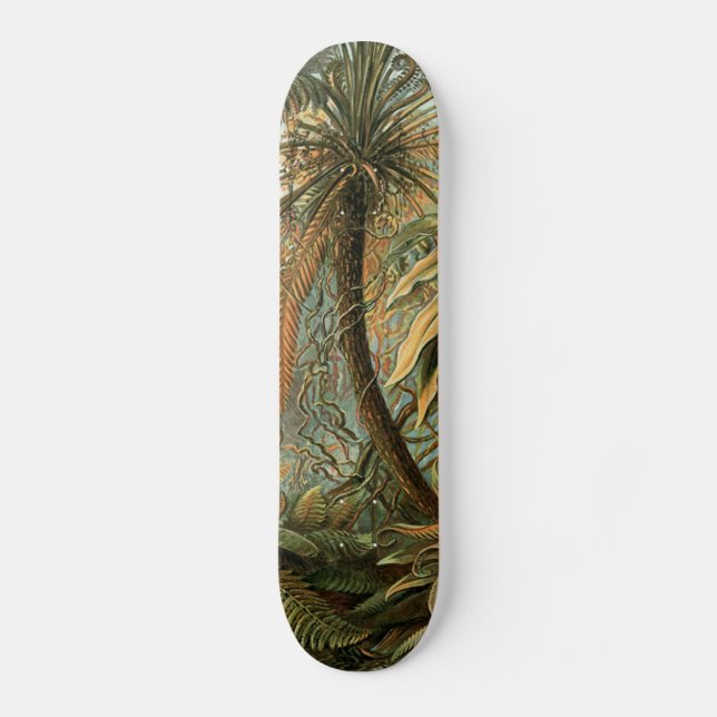 Skate Ferns Palm Tree Arte Botânica Antica (Frente)