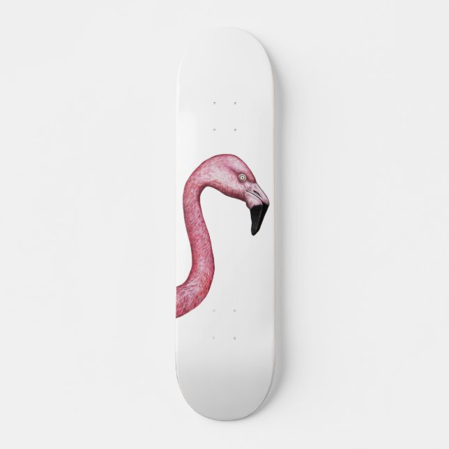Skate Flamingo (Frente)