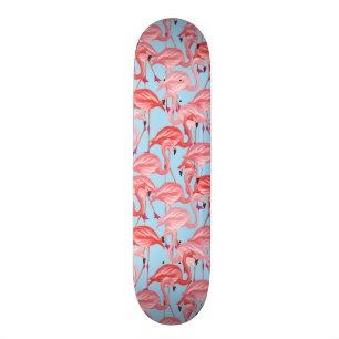Skate Flamingos cor-de-rosa brilhantes no azul