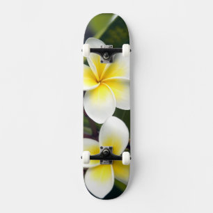 Skate Flor de Frangipani Ilhas Cook