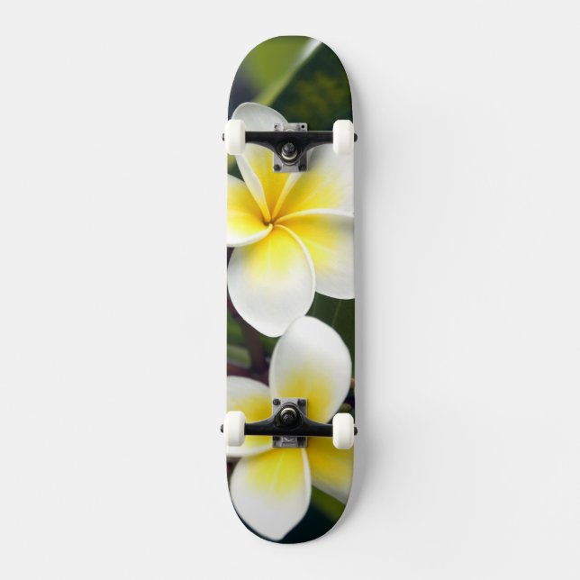 Skate Flor de Frangipani Ilhas Cook (Frente)