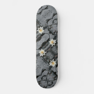 Skate Flor de Lilão de Água com Pata Alterada