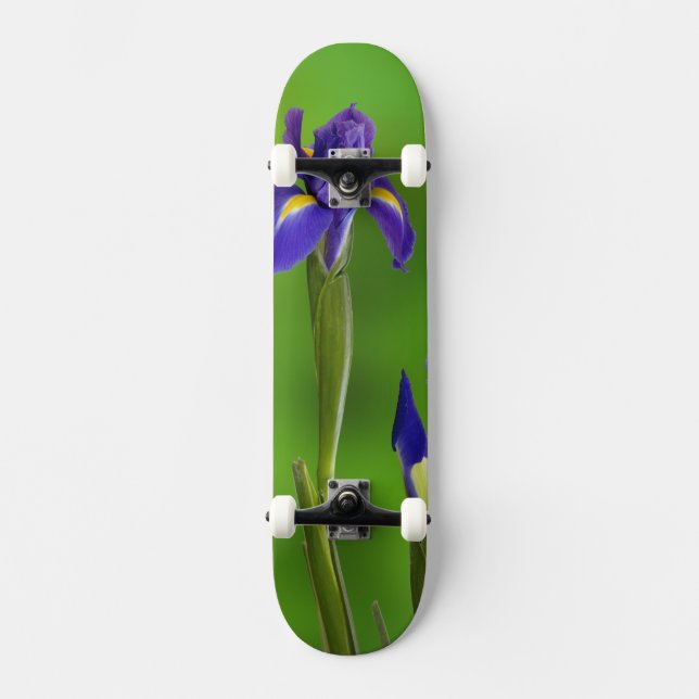 Skate Flores de Íris (Frente)