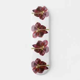 Skate Flores de Planta Jarro