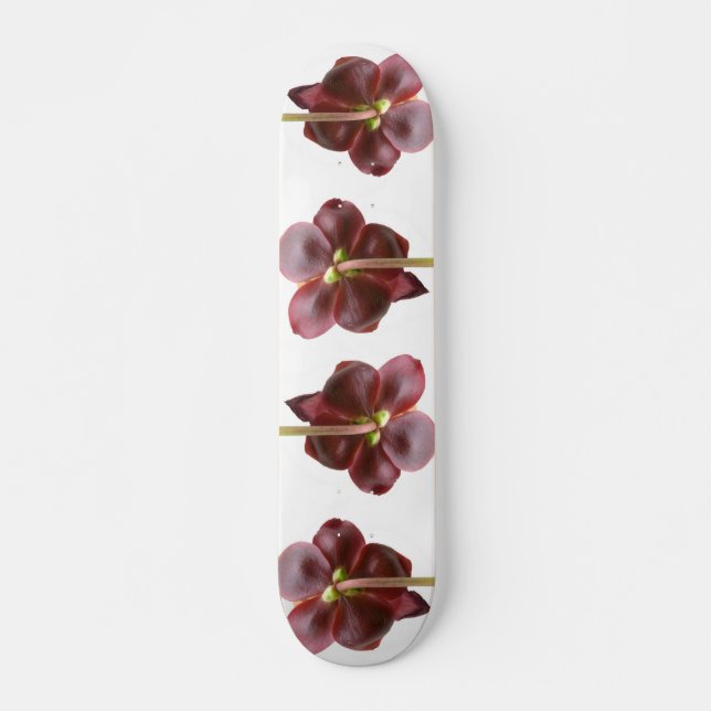 Skate Flores de Planta Jarro (Frente)