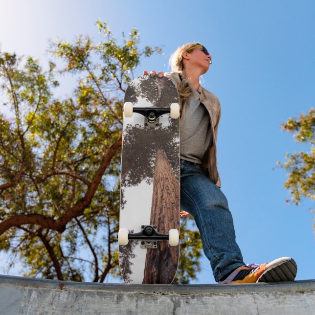 Skate floresta, árvore (Ao ar livre 1)