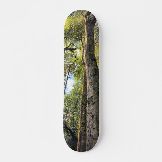 Skate Floresta Tropical Australiana Eucalyptus Gum Trees (Frente)