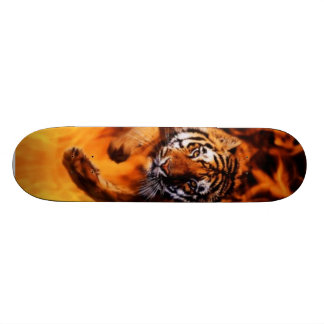 Skate Fogo & tigre