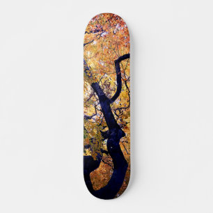 Skate Folhas amarelas e laranja