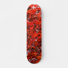 Skate Folhas de Mapeamento Vermelho Japonês Elegante
