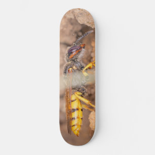 Skate Fotografia aproximada de uma vespa