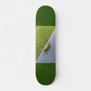 Skate Gafanhoto