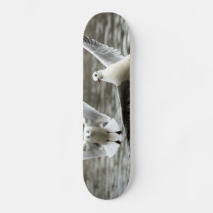 Skate Gaivotas em Voo