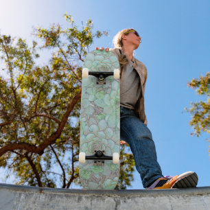 Skate Galinha e Frangos