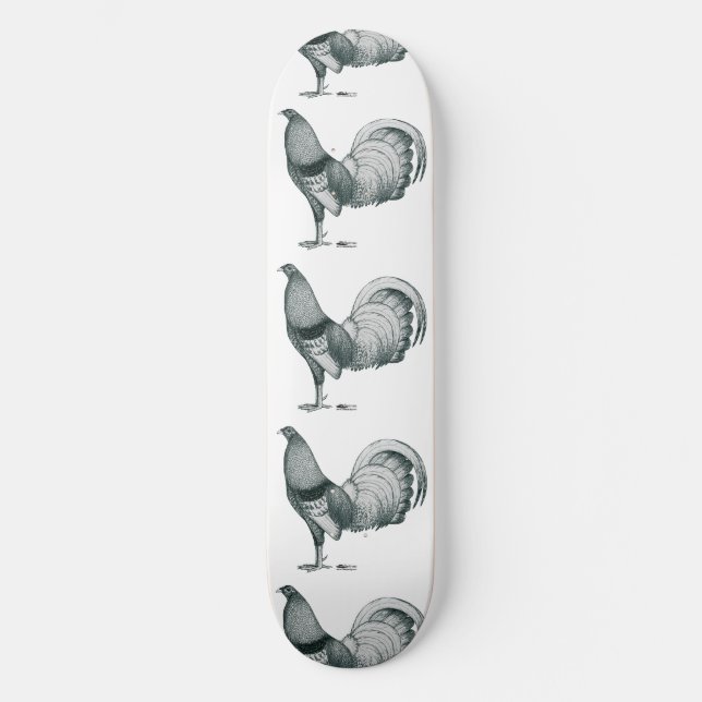 Skate Gamecock Crele ou Dom (Frente)