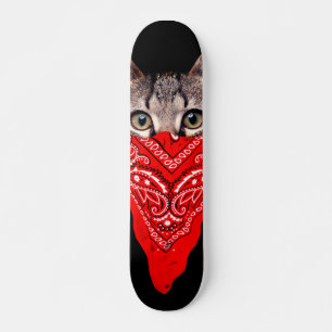 Skate Gangster cat