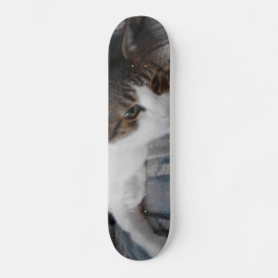 Skate Gatinho
