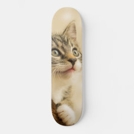 Skate Gatinho Fofo com uma Pata Estimulada