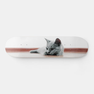 Skate Gato de Garrafa Escocês Super-Cólvora Gato