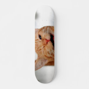 Skate Gato de mesa bonito chorando com um olho