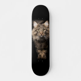 Skate Gato grande Maine Coon