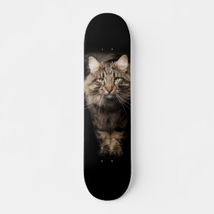 Skate Gato grande Maine Coon