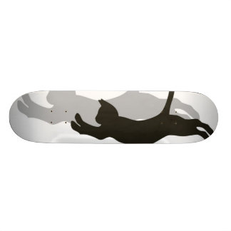 Skate Gato preto