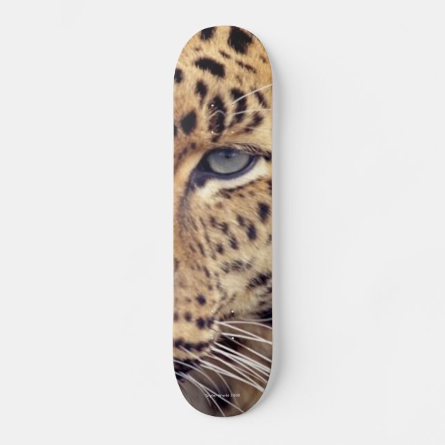 Skate Gato selvagem (Frente)