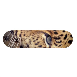 Skate Gato selvagem
