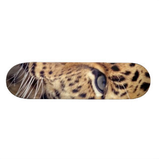 Skate Gato selvagem