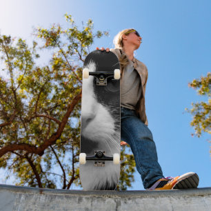Skate Gato Smoking