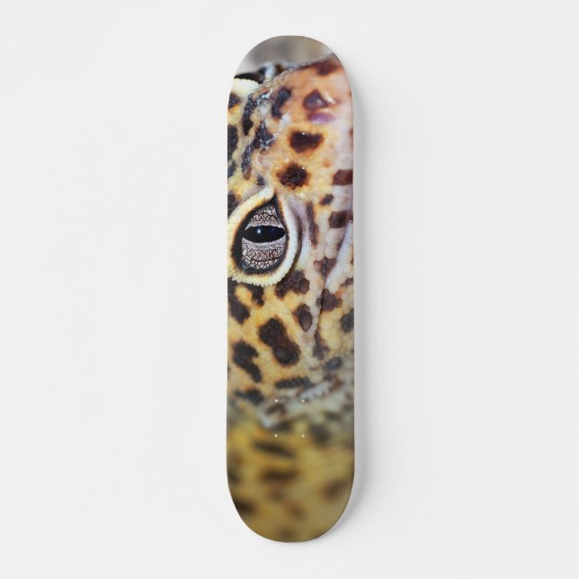 Skate geco do leopardo (Frente)