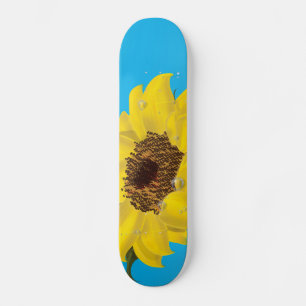 Skate Girassol ao Sol