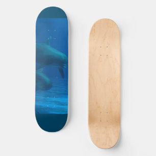 Skate Golfinho