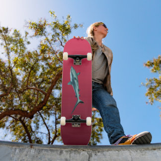 Skate Gradient Magenta - deep to light | Seasonal Moods|