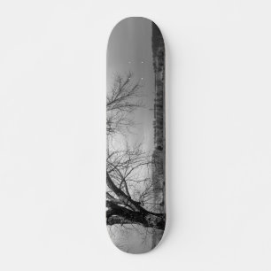 Skate Grayscale velho da árvore do inverno
