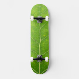 Skate Green Aspen Leaf #11