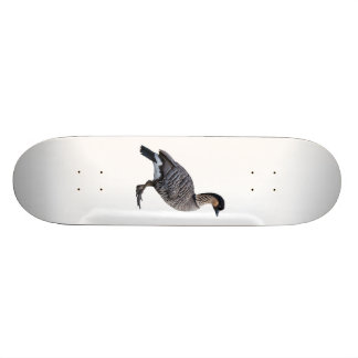 Skate havaiano do ganso (Nene)