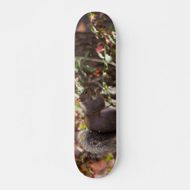 Skate Hora do Lanche do Esquilo (Frente)