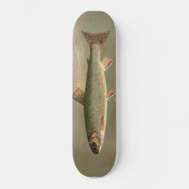 Skate Ilustração de Peixes de Trout Brook Americano